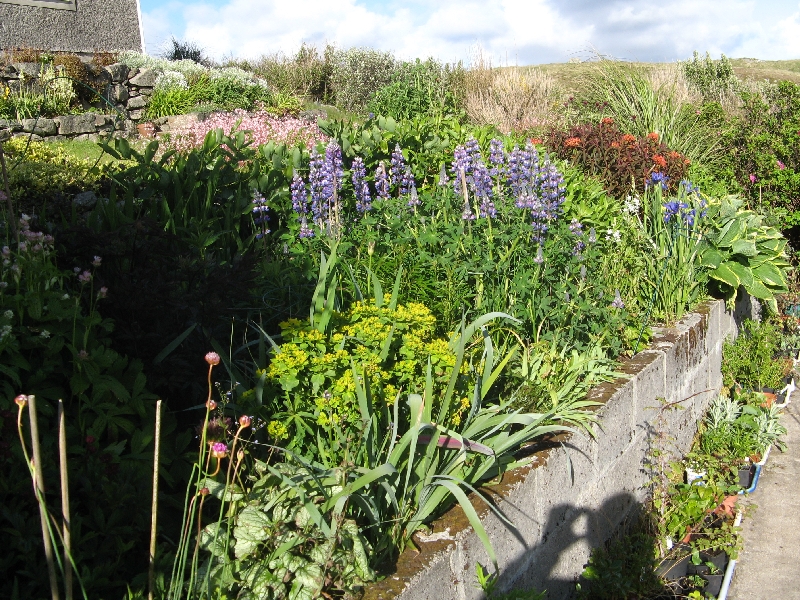 View along herbaceous bed