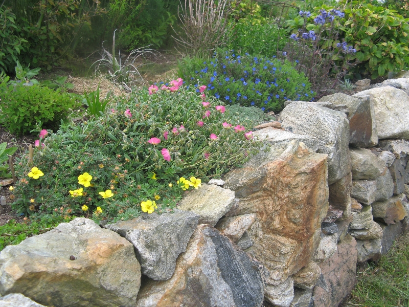 View of stone walled bed