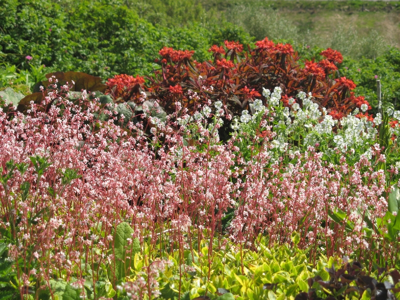 View along lawn